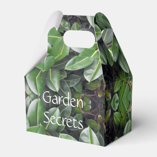 ゴムの木の葉パターン フェイバーボックス (正面サイド)