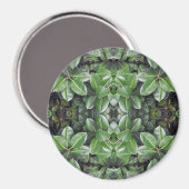 ゴムの木の葉パターン マグネット (正面/裏面)