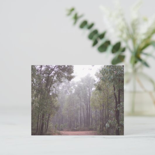 ゴムの木 ポストカード (スタンド正面)