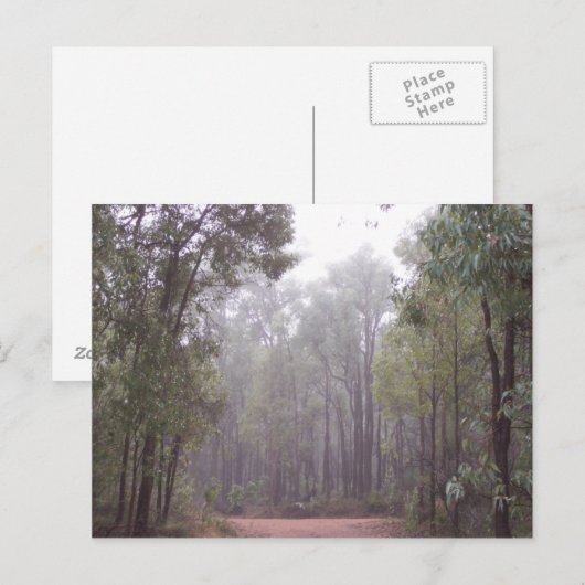 ゴムの木 ポストカード (正面/裏面)