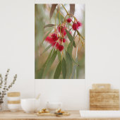 ゴムの花 ポスター (キッチン)