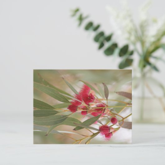 ゴムの花 ポストカード (スタンド正面)