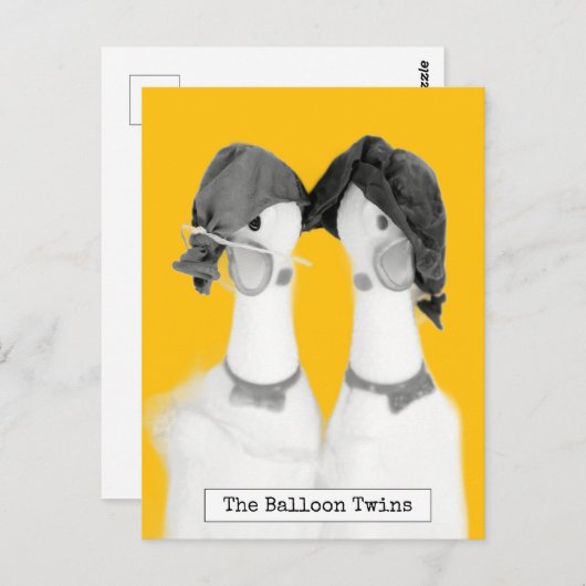 ゴムクール製鶏はがき ポストカード (正面/裏面)