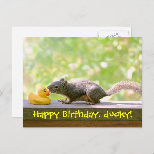 ゴムダッキー(アヒルちゃん)とリスキスをするル ポストカード (正面/裏面)