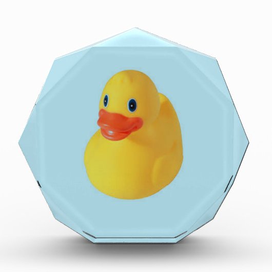 ゴムダッキー(アヒルちゃん) フォトブロック (正面)