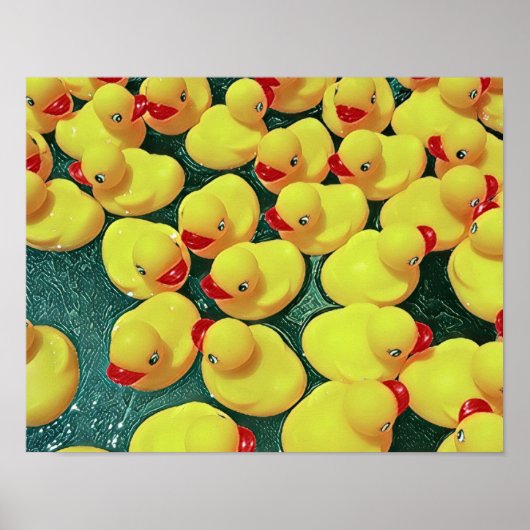 ゴムダッキー（アヒルちゃん） ポスター (正面)