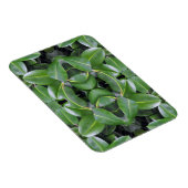 ゴムツリーパターン マグネット (右側)