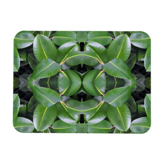 ゴムツリーパターン マグネット (横)