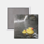 ゴム日本のダッキー(アヒルちゃん) マグネット (正面/裏面)