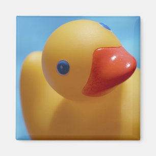ゴム製アヒルのクローズアップ マグネット