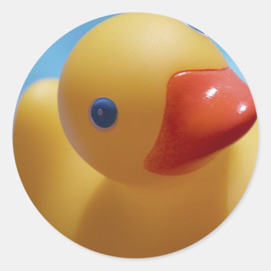 ゴム製アヒルのクローズアップ ラウンドシール (正面)