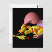 ゴム製鶏のHatchling ポストカード (正面/裏面)