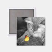 ゴム食べ物を与えのダックマグネット マグネット (正面/裏面)