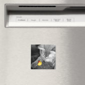 ゴム食べ物を与えのダックマグネット マグネット (インサイチュ (食洗機))