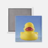 ゴム鴨のクローズアップ マグネット (正面/裏面)