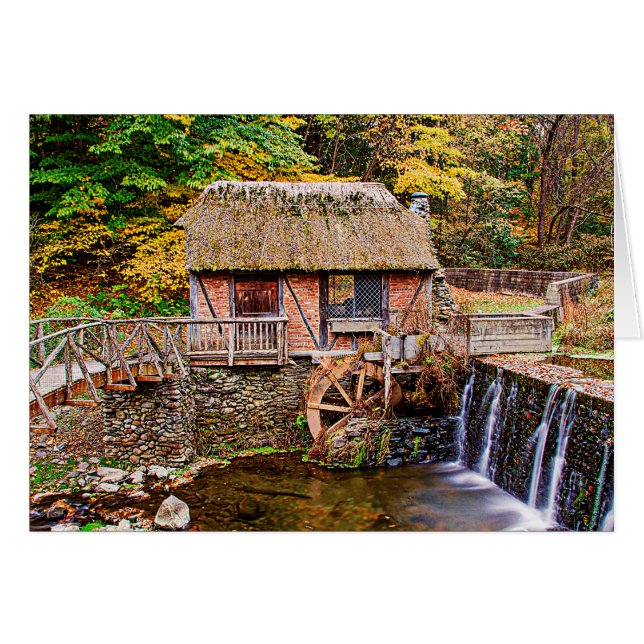 ゴメズミル (正面横)