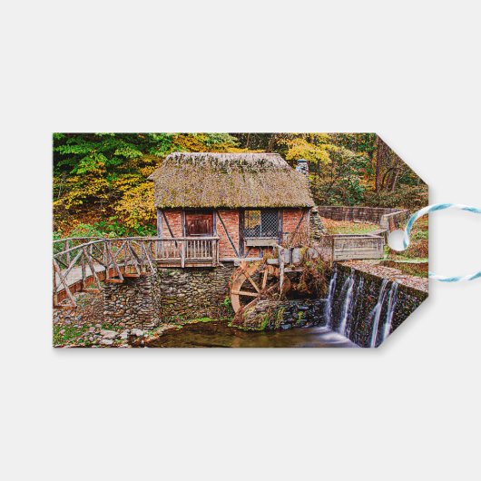 ゴメズミル ギフトタグ (正面(横))