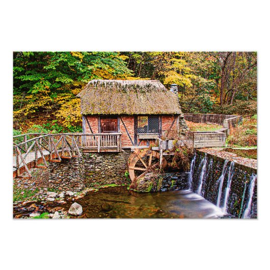 ゴメズミル フォトプリント            (正面)