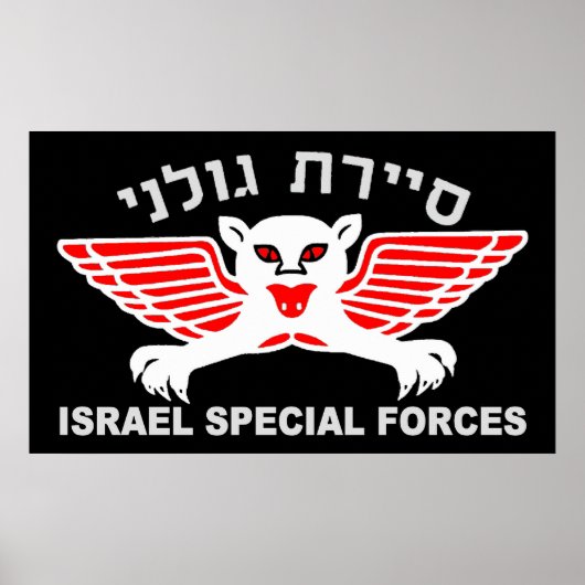 ゴラニレコンダーク ポスター (正面)