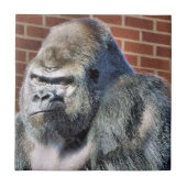 ゴリおもしろいラ タイル (正面)