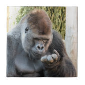 ゴリおもしろいラ タイル (正面)