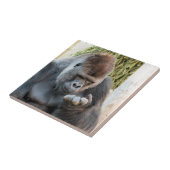 ゴリおもしろいラ タイル (側面)