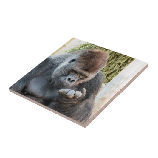 ゴリおもしろいラ タイル (側面)