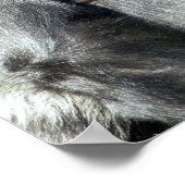 ゴリおもしろいラ ポスター (角)