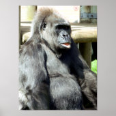 ゴリおもしろいラ ポスター (正面)