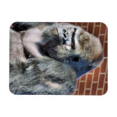 ゴリおもしろいラ マグネット (横)