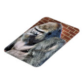 ゴリおもしろいラ マグネット (左側)