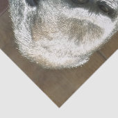 ゴリおもしろいラ 薄葉紙 (詳細)