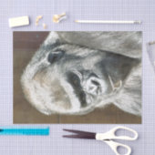 ゴリおもしろいラ 薄葉紙 (クラフト)