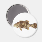 ゴリアスハタ海ベクターイラストレーション マグネット (正面/裏面)