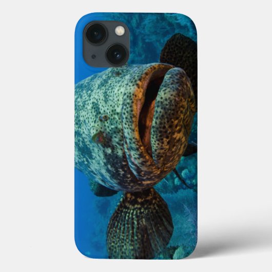 ゴリアテの大西洋のハタ Case-Mate iPhoneケース (裏面)