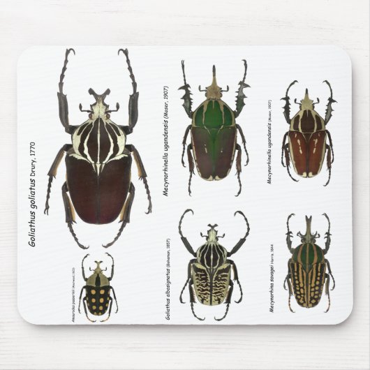 ゴリアテのmousepad マウスパッド (正面)