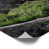 ゴリラと太陽 ポスター (角)