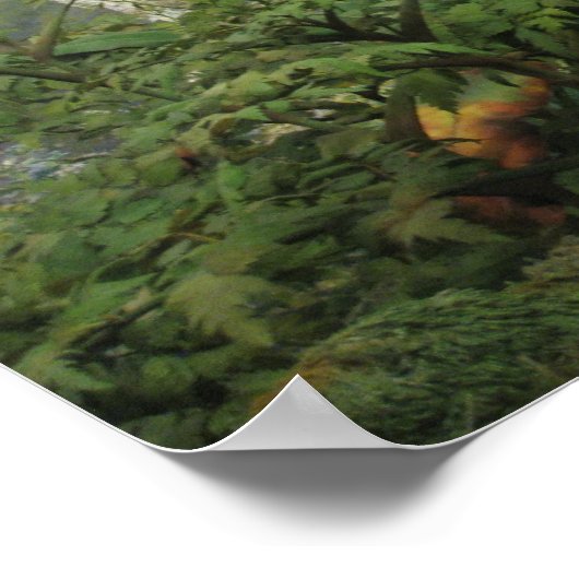 ゴリラのポスター ポスター (角)