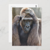 ゴリラのポーズ ポストカード (正面/裏面)