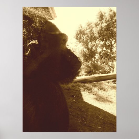 ゴリラの夢 ポスター (正面)