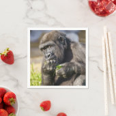 ゴリラの子ども スタンダードカクテルナプキン (インサイチュ)