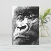 ゴリラの招待状 招待状 (スタンド正面)