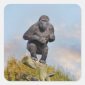 ゴリラの木の均衡に関する法律 スクエアシール (正面)