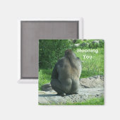 ゴリラの裏側、モーニング マグネット (正面/裏面)