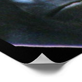 ゴリラは私のポスターを凝視しない ポスター (角)