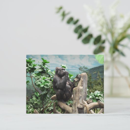 ゴリラも ポストカード (スタンド正面)