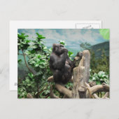 ゴリラも ポストカード (正面/裏面)