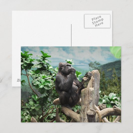 ゴリラも ポストカード (正面/裏面)