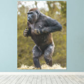 ゴリラを打つ胸部 キャンバスプリント (インサイチュ (ウッドフロア))