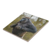 ゴリラを打つ胸部 タイル (側面)